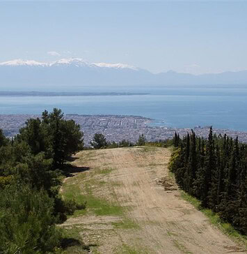 To Σέιχ Σου στο στόχαστρο δασοκτόνων πολιτικών