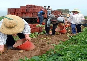 Κατασχέσεις κοινοτικών επιδοτήσεων αγροτών!