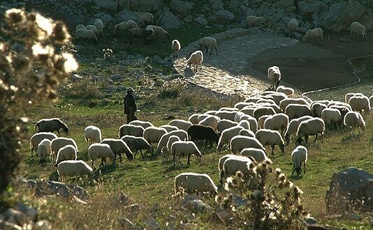 Οι ευαίσθητοι