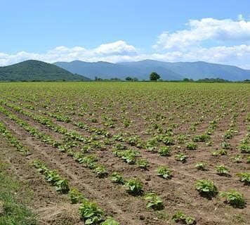 Τα στρέμματα της… συναλλαγής