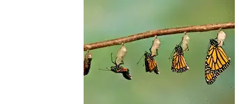 Περί μεταλλάξεων…