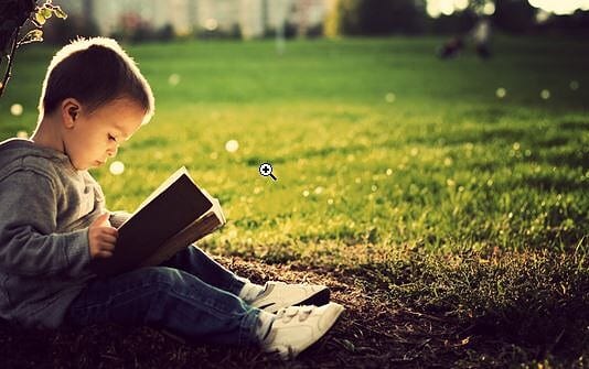 Ηλεκτρικές αναγνώσεις (φ.279)