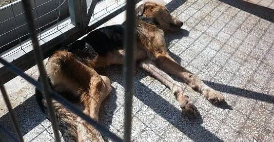 ΠΦΠΟ ενάντια στην αίτηση του Βόλου για Πολιτιστική Πρωτεύουσα της Ευρώπης