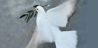 Γιώργος Κασιμάτης: Υπέρτατη ανάγκη η δημιουργία ενός μετώπου απελευθέρωσης