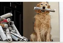 Στον Δρόμο του Σαββάτου 20 Νοεμβρίου