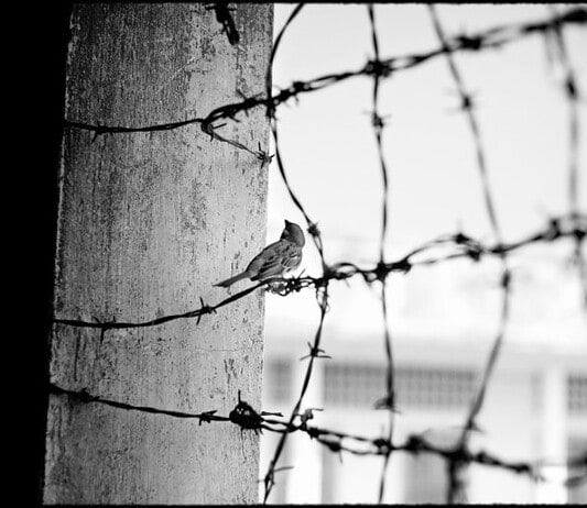 Συναυλία για την Ηριάννα