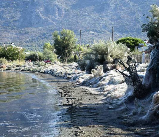 Και διηγώντας τα να κλαις… (φ.422)