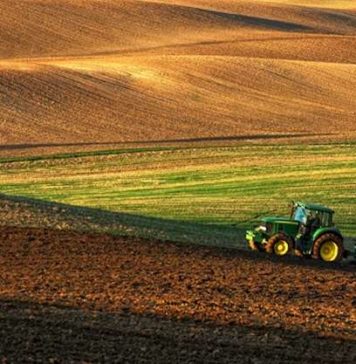 Τόσα δίνω, πόσα θες…