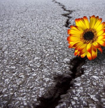 Χαραμάδες ποιότητας και αντίστασης