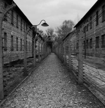 «Greco μπορείς να τραγουδήσεις…»