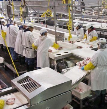 Η αύξηση της μεταποίησης απαραίτητη προϋπόθεση για αλλαγή του υποδείγματος ανάπτυξης
