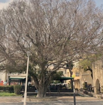 Της επιστήμης και της κοινωνίας φ.504