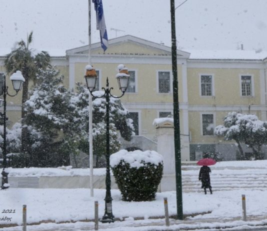 Κοινωνία σε καραντίνα, λεηλασία σε δράση!