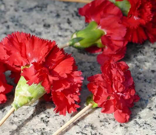 Χαμένη Πρωτομαγιά…