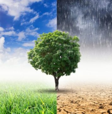 Το «Green Deal»