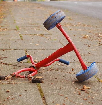 Η Σημαία και το Γουρούνι (Περί Συνείδησης)