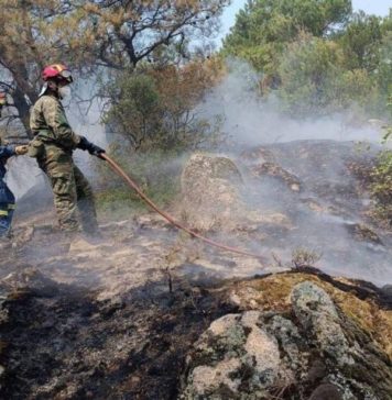 Οι φετινές φωτιές και η ατομική ευθύνη