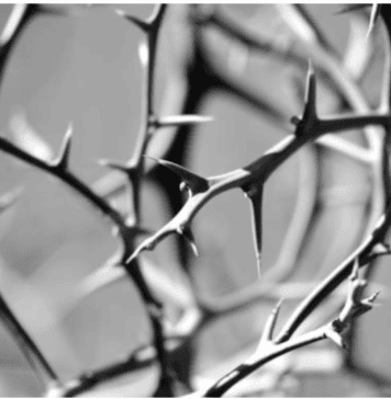 …κι είν’ έρεβος και ζόφος