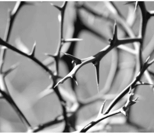 …κι είν’ έρεβος και ζόφος