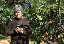 Ελένη Κατσιώλη: Χαρισματικοί Ρώσοι καλλιτέχνες