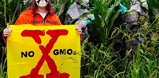 Γενετικά Τροποποιημένα Φυτά (μεταλλαγμένα) έρχονται στο πιάτο μας