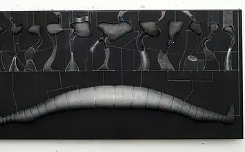 Η σαγήνη του αλλόκοτου