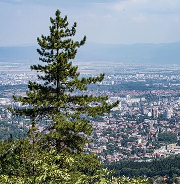 Η σκιά των δέντρων μπορεί να νικήσει