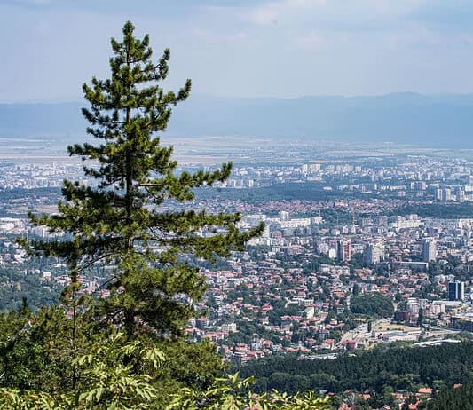 Η σκιά των δέντρων μπορεί να νικήσει