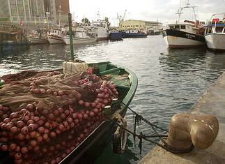 Κραυγή αγωνίας για την ελληνική αλιεία